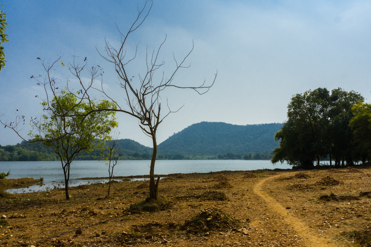 Jambughoda Wildlife Sanctuary