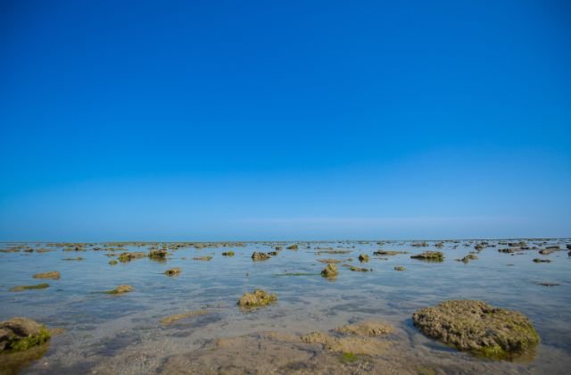 Marine National Park